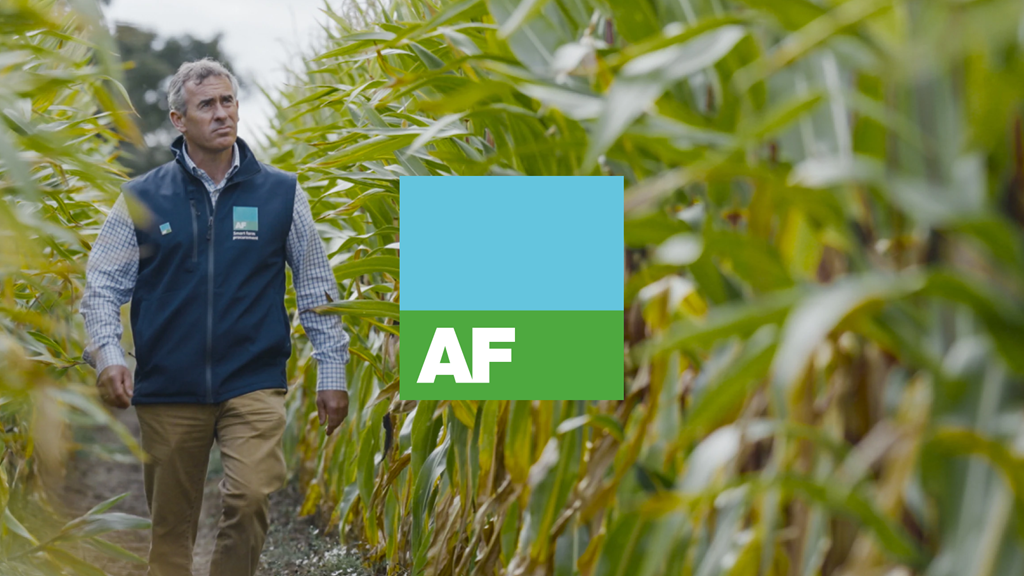 AF Group